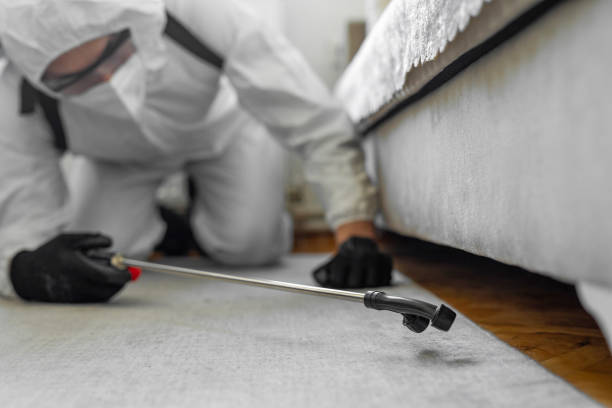 Professional Wasp Control technician working in Dorneyville, PA